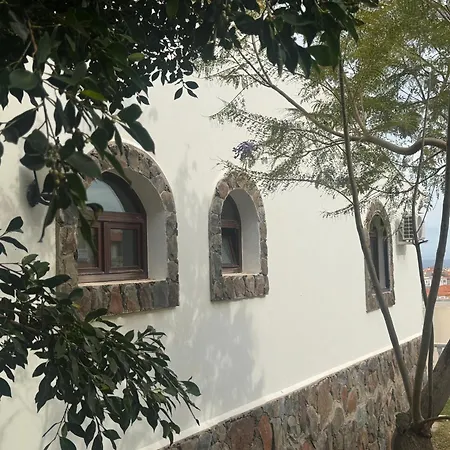 Rex - Sun & Las Palmas