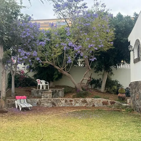 Rex - Sun & Tatil Evi Las Palmas de Gran Canaria