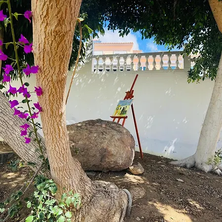 Rex - Sun & Las Palmas