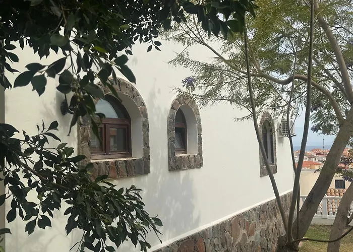 Rex - Sun & Las Palmas