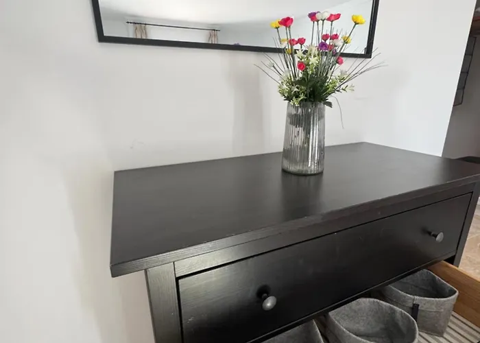 Rex - Sun & Λας Πάλμας ντε Γκραν Κανάρια