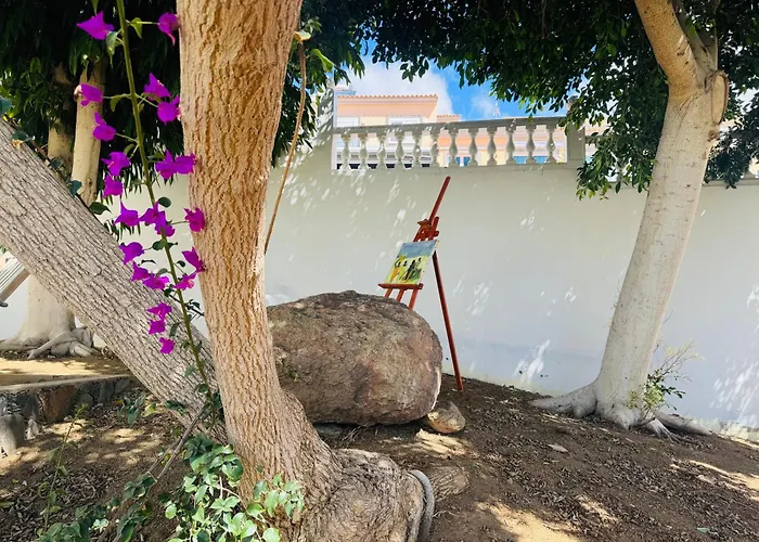 Rex - Sun & Las Palmas